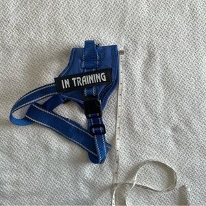 Blue 'In Training' Dog Harness Small